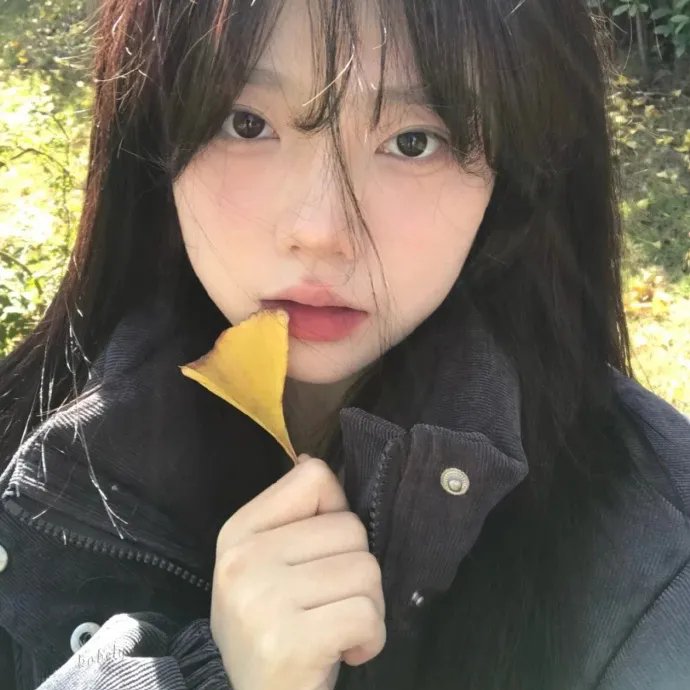 完美普通家庭 封面